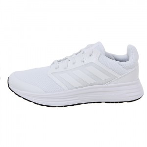 Ƶٽ  5 ȭ FW5716
