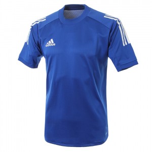 Ƶٽ ܵ20 Ʈ̴  ED9219