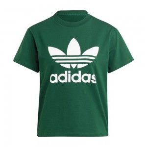 Ƶٽ TREFOIL TEE   (IB7424)